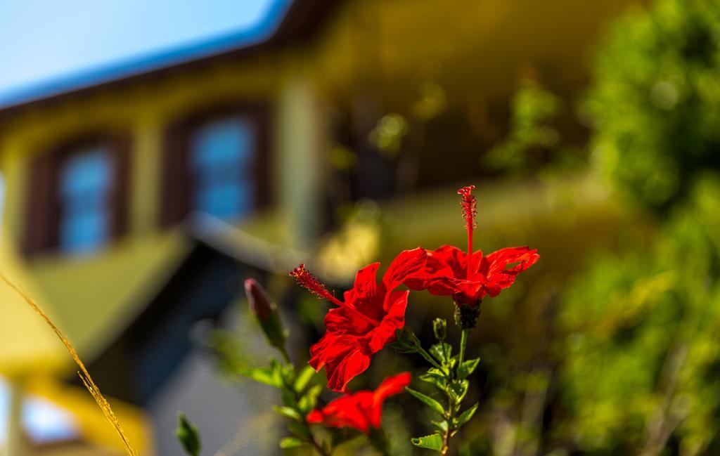 Marmaris Holiday Villas Exterior photo